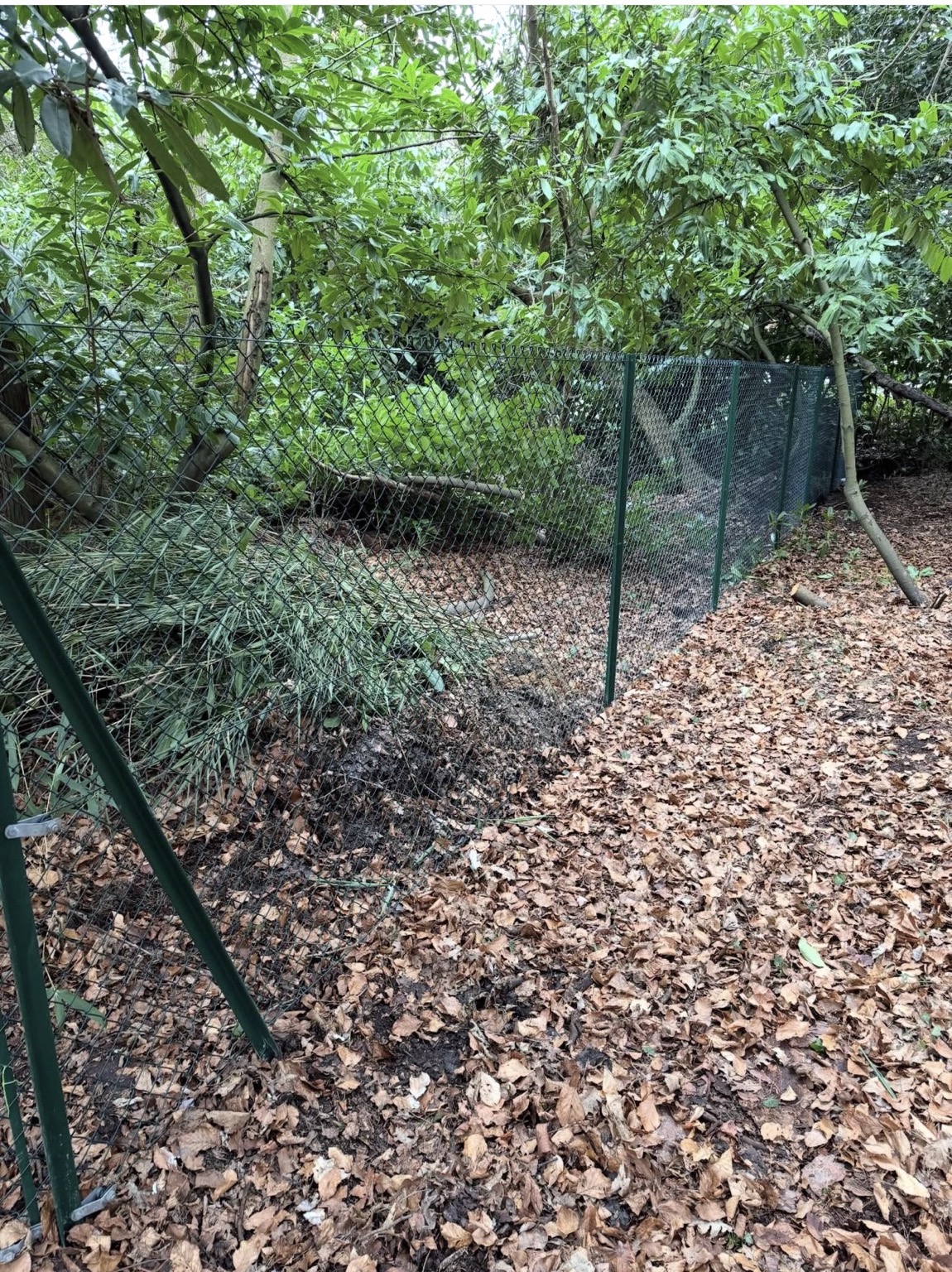 Security fencing